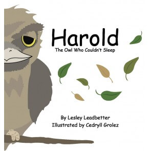 Harold The Owl Who Couldn't Sleep